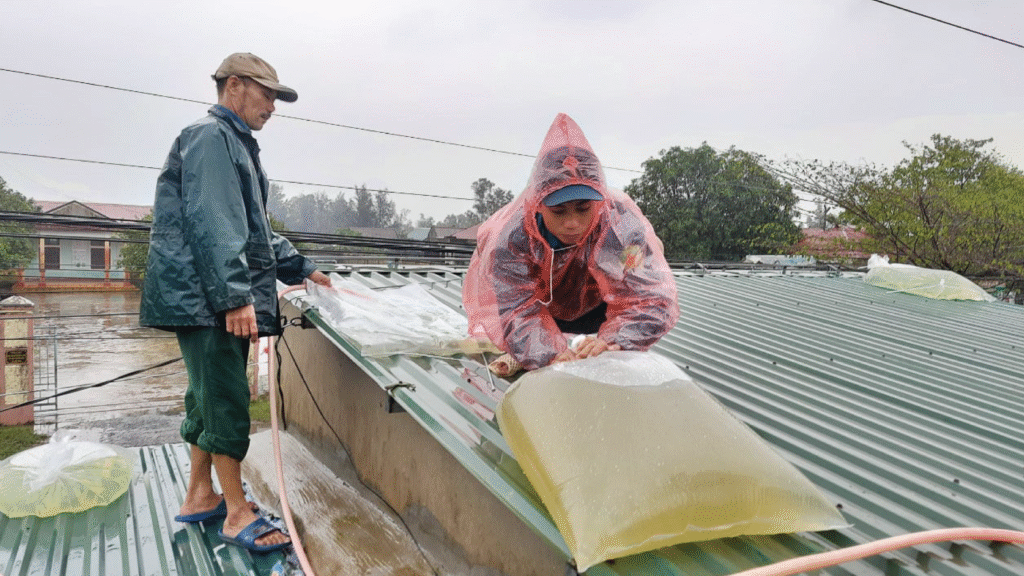 Cập nhật tình hình bão số 14 tại Quảng Ngãi