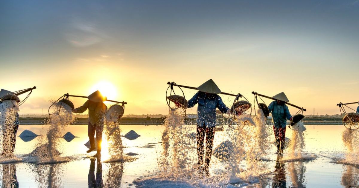 Cánh đồng ruộng muối Sa Huỳnh- Địa điểm du lịch Tết 2026 ở Quảng Ngãi 