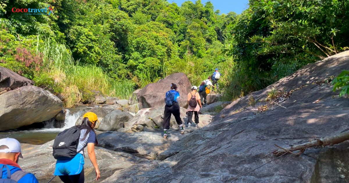 Cocotravel - Top 10 công ty uy tín ở Quảng Ngãi