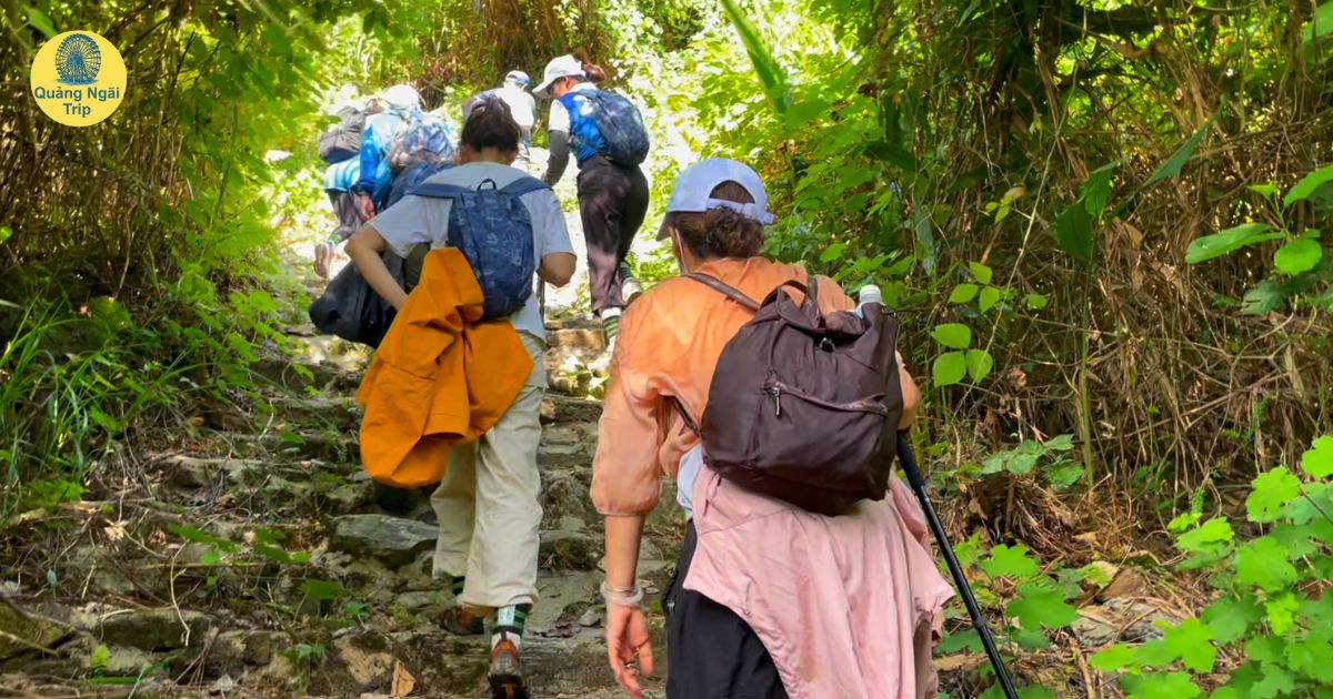 Quảng Ngãi Trip được đánh giá cao nhờ định hướng tour trải nghiệm bản địa rõ nét